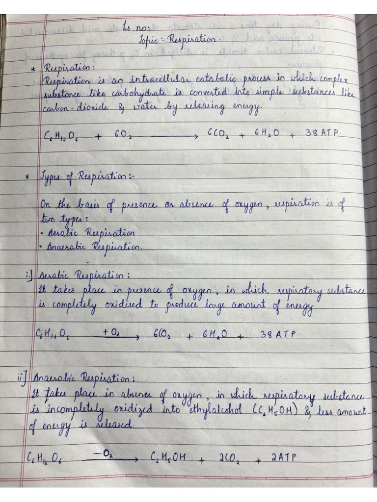 Respiration | PDF