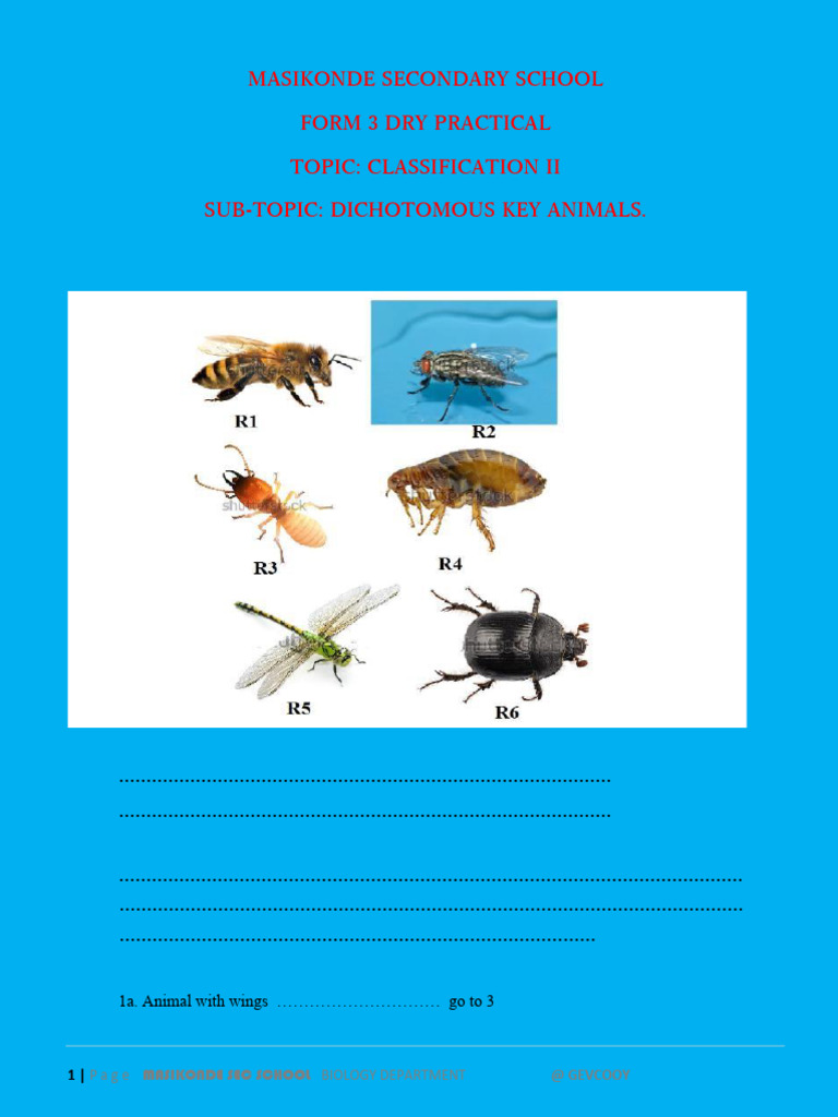 Biology Dry Practical Dichotomous Key Animals_260308_195620 | PDF ...