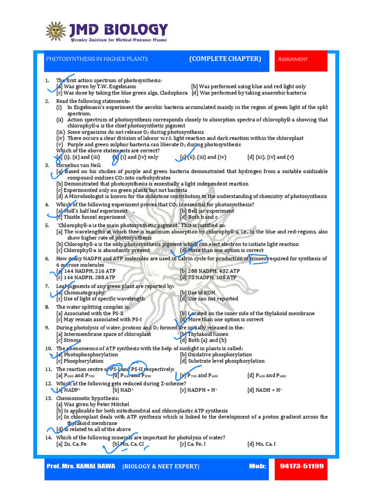 Photosynthesis Complete - Assignment | PDF | Photosynthesis | Chloroplast