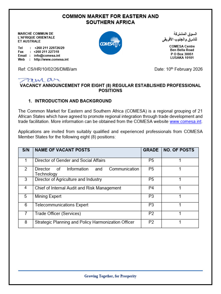 Call For Application For Professional Staff 2026 ENG 1 | PDF | Audit ...