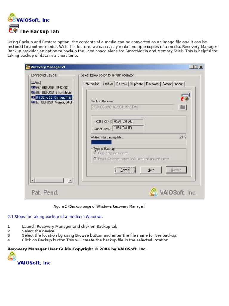 Pages From Recvmngr | PDF