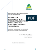 Reconocimiento de Estructuras Vegetativas, Propagativas y de Resistencia de Agentes Fitopatogenos