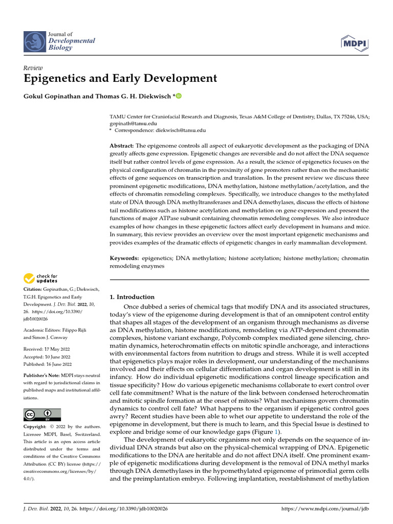 Epigenetics and Early Development | PDF | Histone | Epigenetics