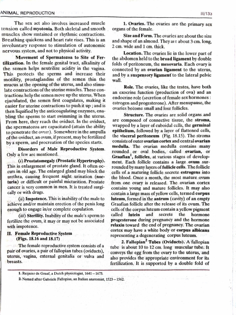 Female Reproductive System Notes | PDF