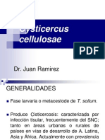 Cisticercus cellulosae