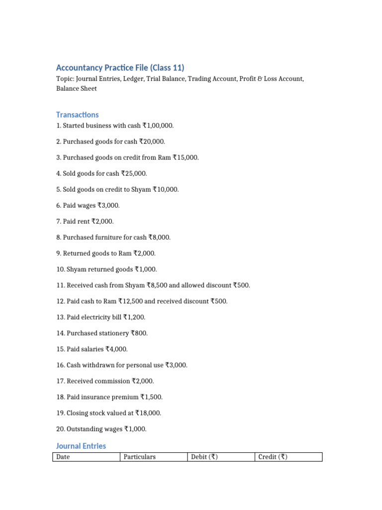 Class 11 Accountancy Practice File | PDF