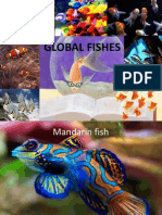 Marvelous Fishes