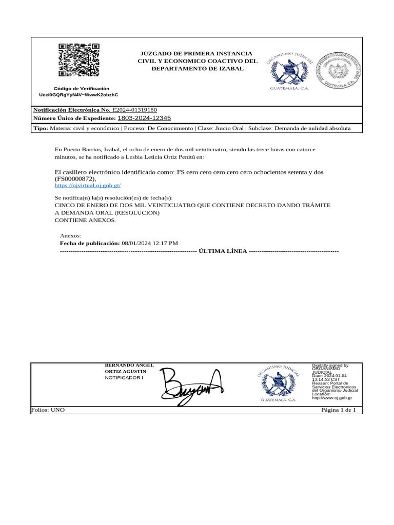 Notificacion de La Parte Actora | PDF | Ley Pública | Judicaturas