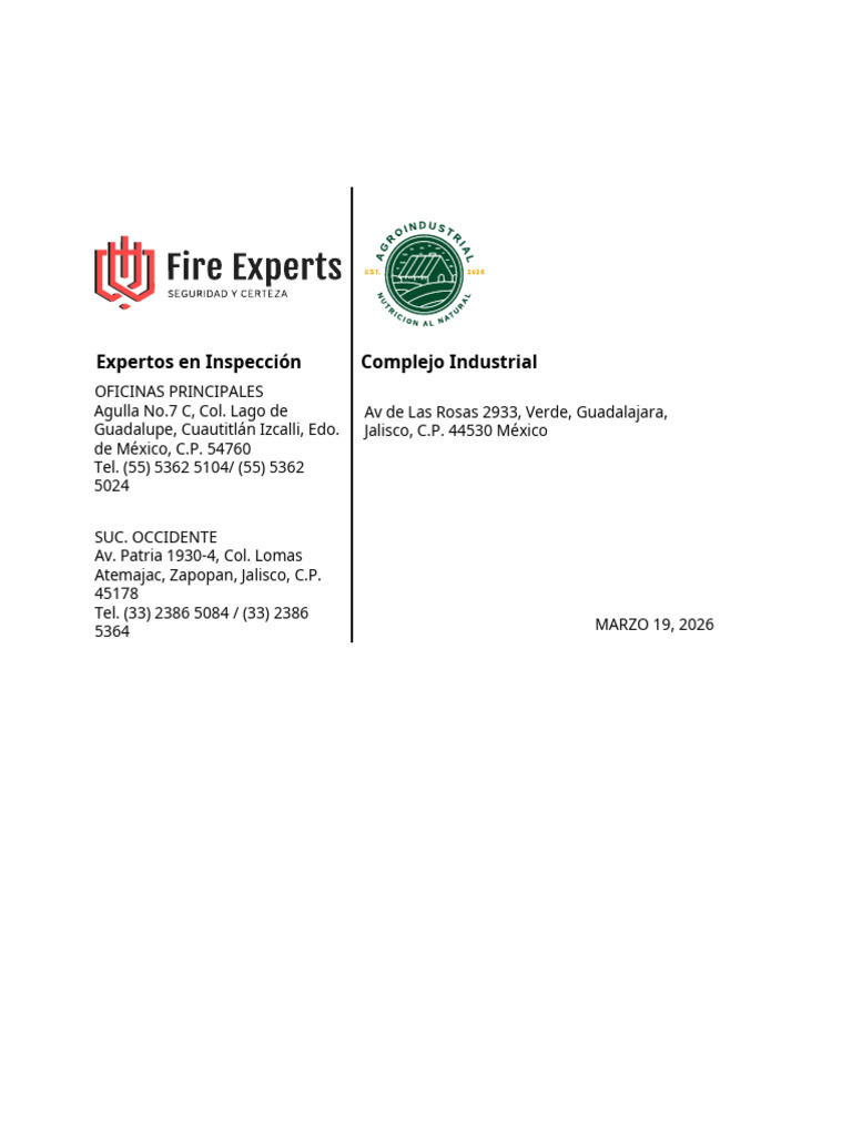 Inspection Formato-Demo Formulario2 | PDF | Bomba | Motor diesel