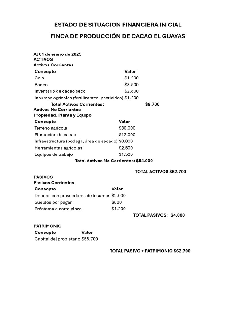 Estado de Situacion Financiera Inicial | PDF