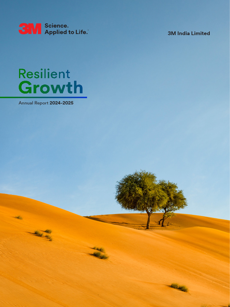 3m India Annual Report 2024 2025 | PDF | Innovation | Brand
