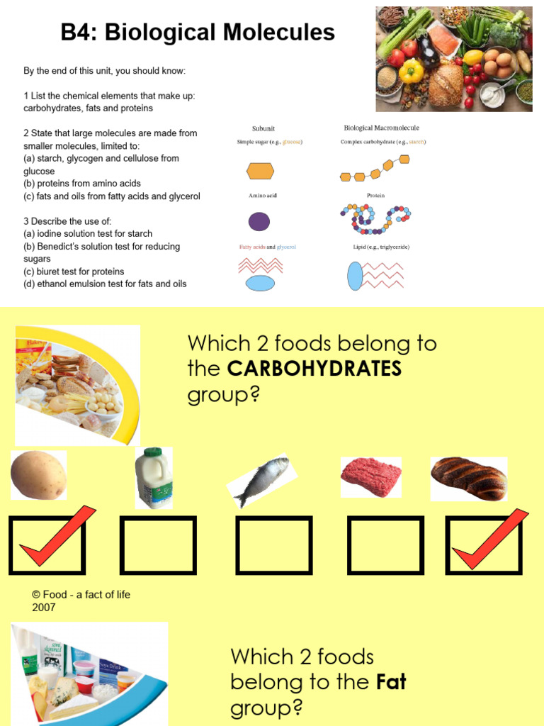 B4 - Biological Molecules SLIDES | PDF | Carbohydrates | Glucose