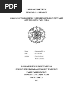 Download Laporan PH Penyakit by Valentina Erline SN101212362 doc pdf