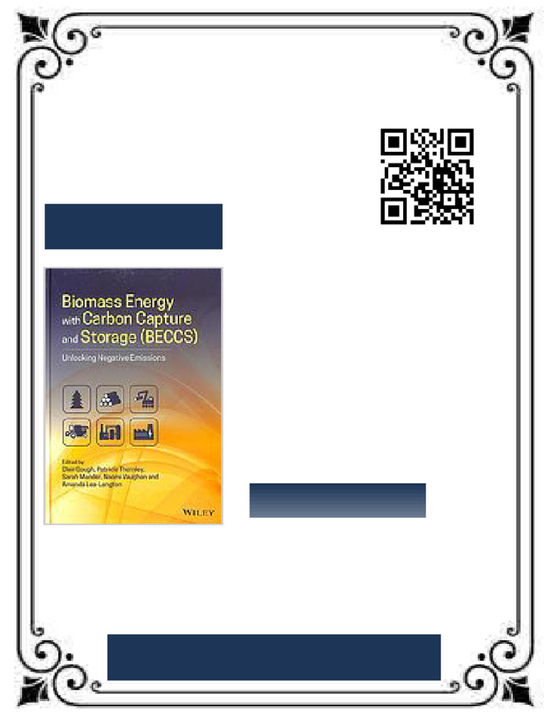 Biomass Energy and Carbon Capture and Storage (BECCS) : Unlocking ...