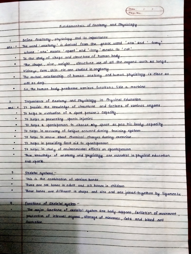 PEd Notes, Pt2 Exclusive | PDF