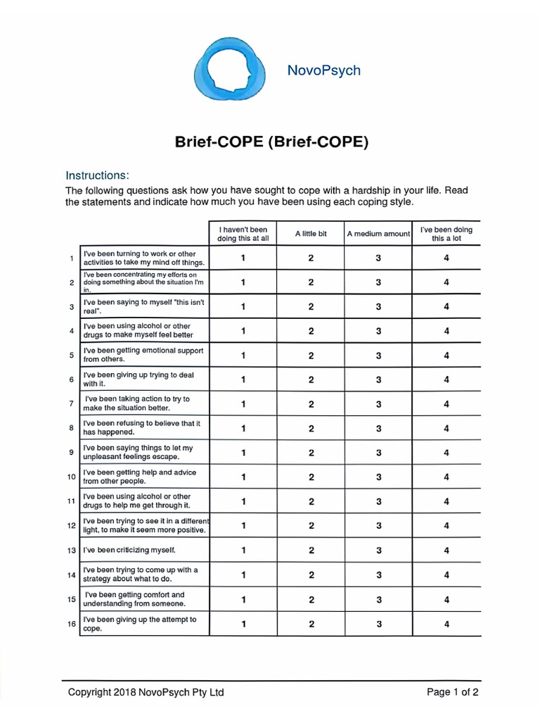 Essence of Ot- Brief Cope | PDF