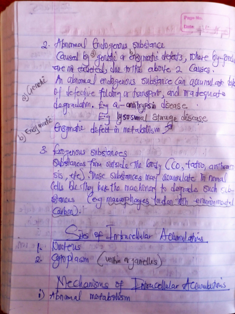 Pathology Violet Note 2 | PDF
