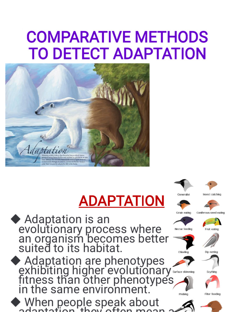 ADAPTATION | PDF