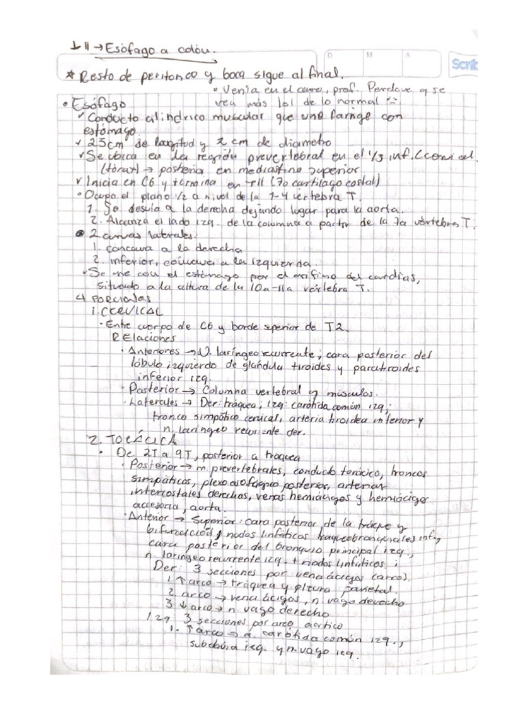 parte 1 | PDF