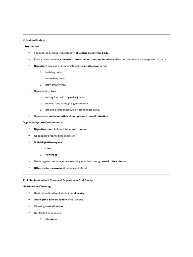 Digestive System 1st Year Notes | PDF | Human Digestive System | Digestion