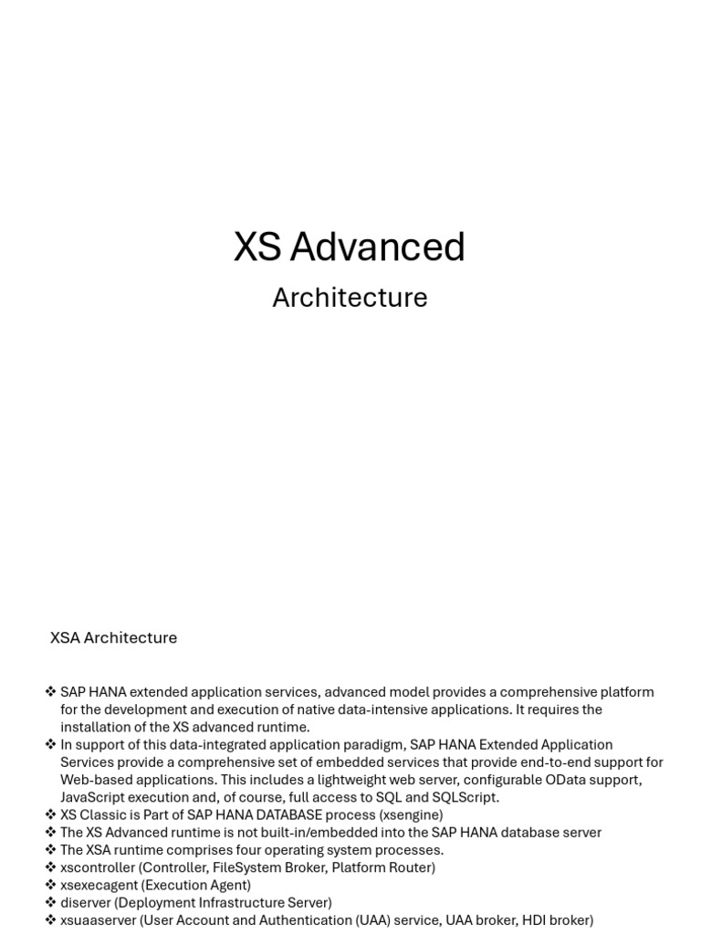 XS Advanced Architecture | PDF