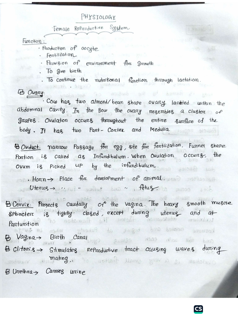 Physiology Note L2S2 Alam Sir | PDF
