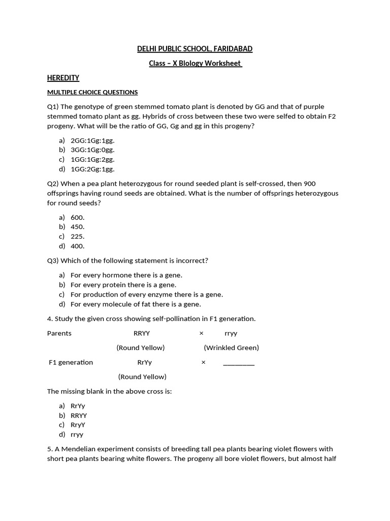 Class X Biology Worksheet HEREDITY (2023-24) | PDF | Heredity ...