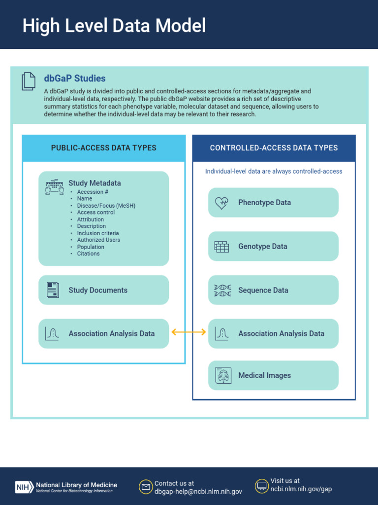 High Level Data Model | PDF