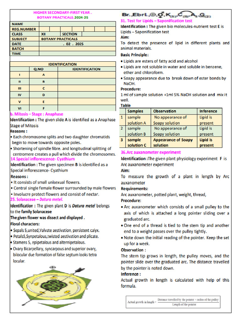 +1 Practical em | PDF