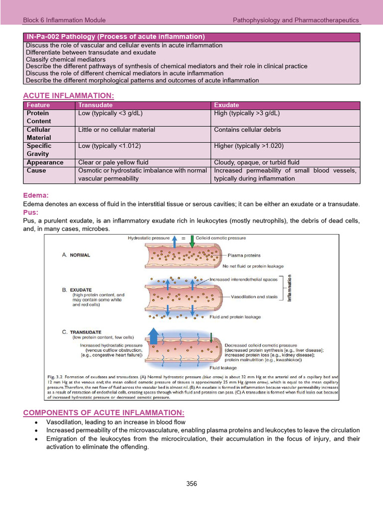 Inflammation | PDF | Macrophage | Inflammation