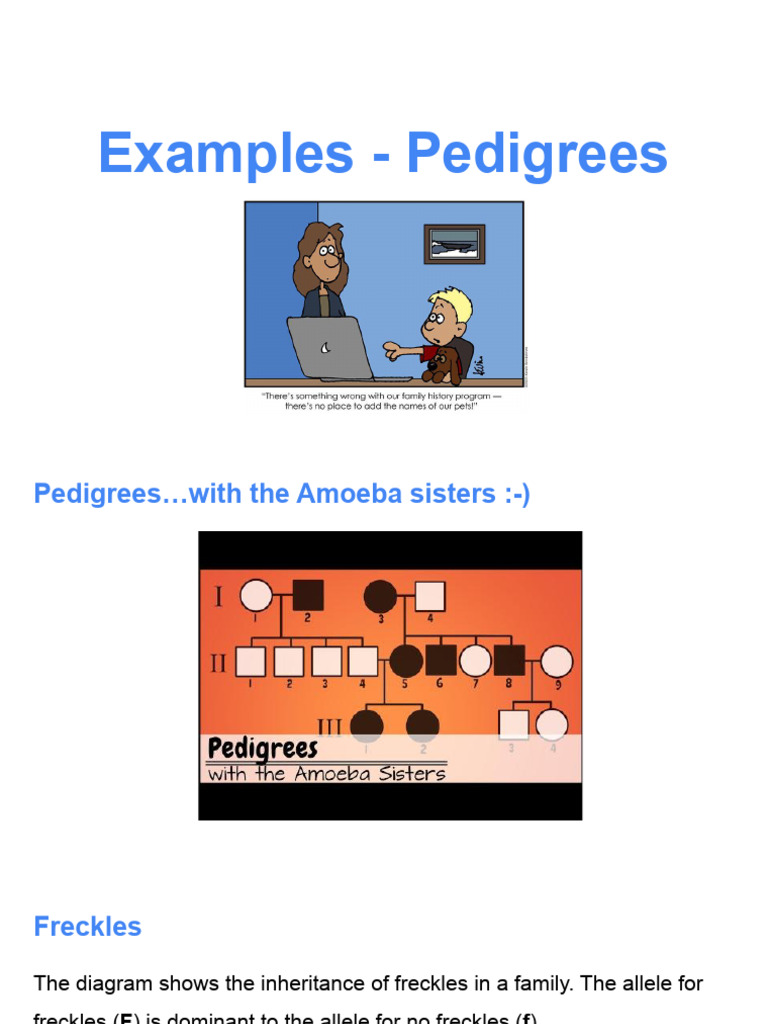 Pedigree Review Examples | PDF