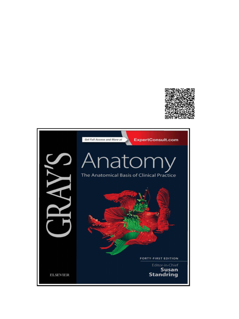 Gray's Anatomy The Anatomical Basis of Clinical Practice 41th Edition ...
