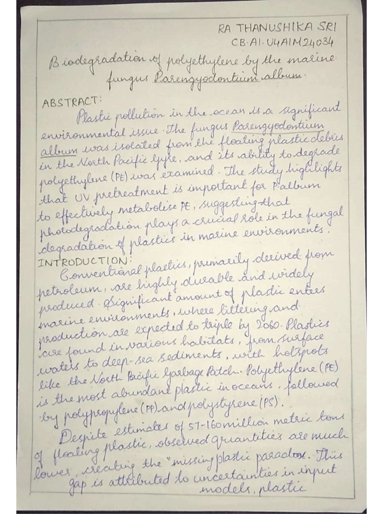 Assignment TTT | PDF