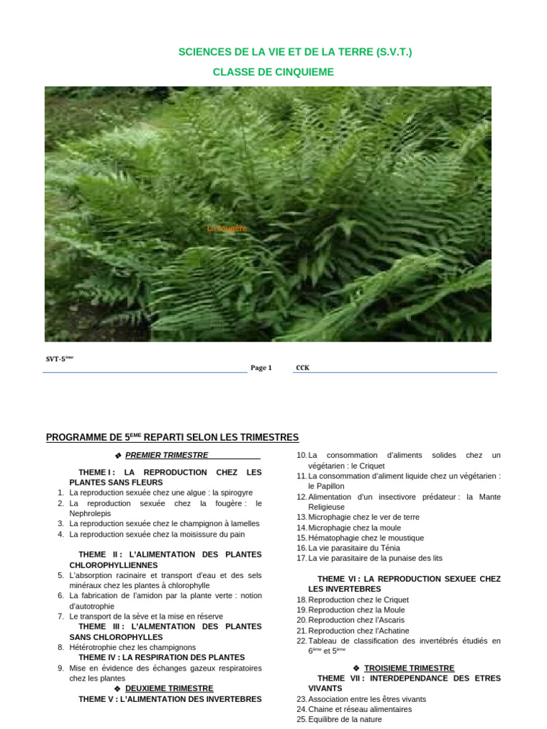 FICHE SVT 5èm Imprime Gnass | PDF | Fougères | Chlorophylle