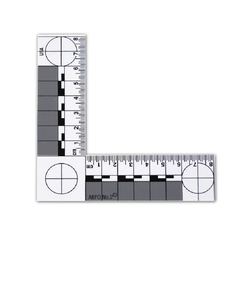Abfo Scale to Print | PDF