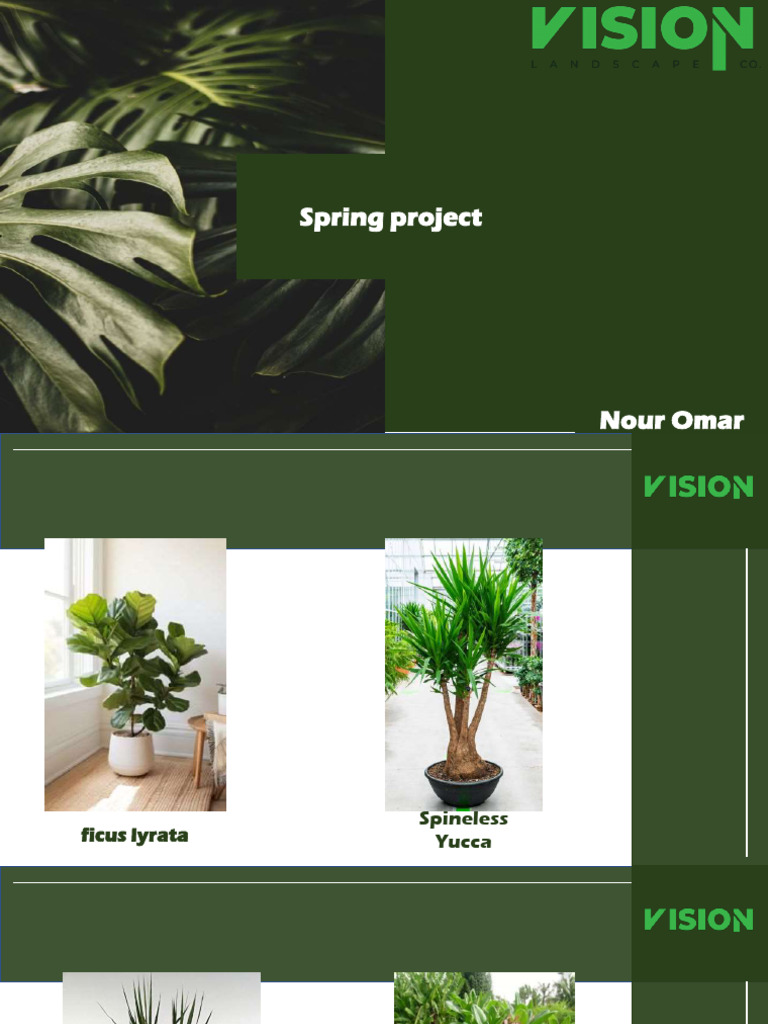 Spring Project | PDF