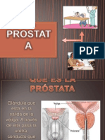 Prostata