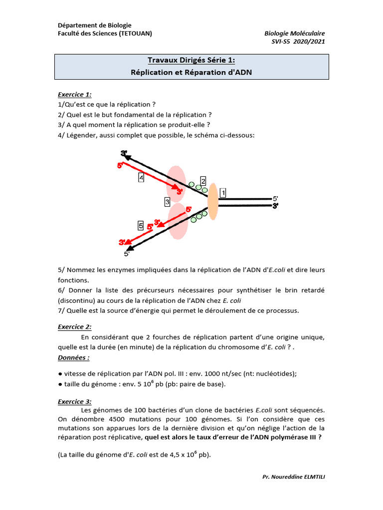 Bio Mol TD1 | PDF