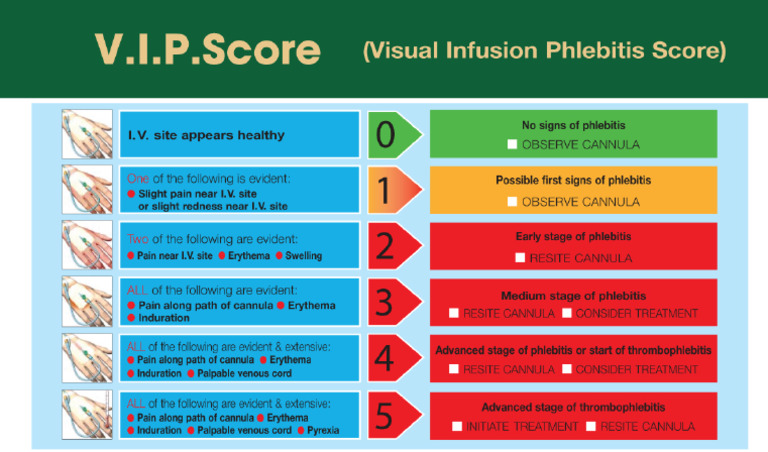 VIP Score | PDF