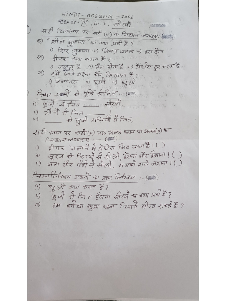 Hindi Assignment Lesson1 | PDF