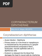 Download CORYNEBACTERIUM DIPHTHERIAE by hercolanium SN101244843 doc pdf