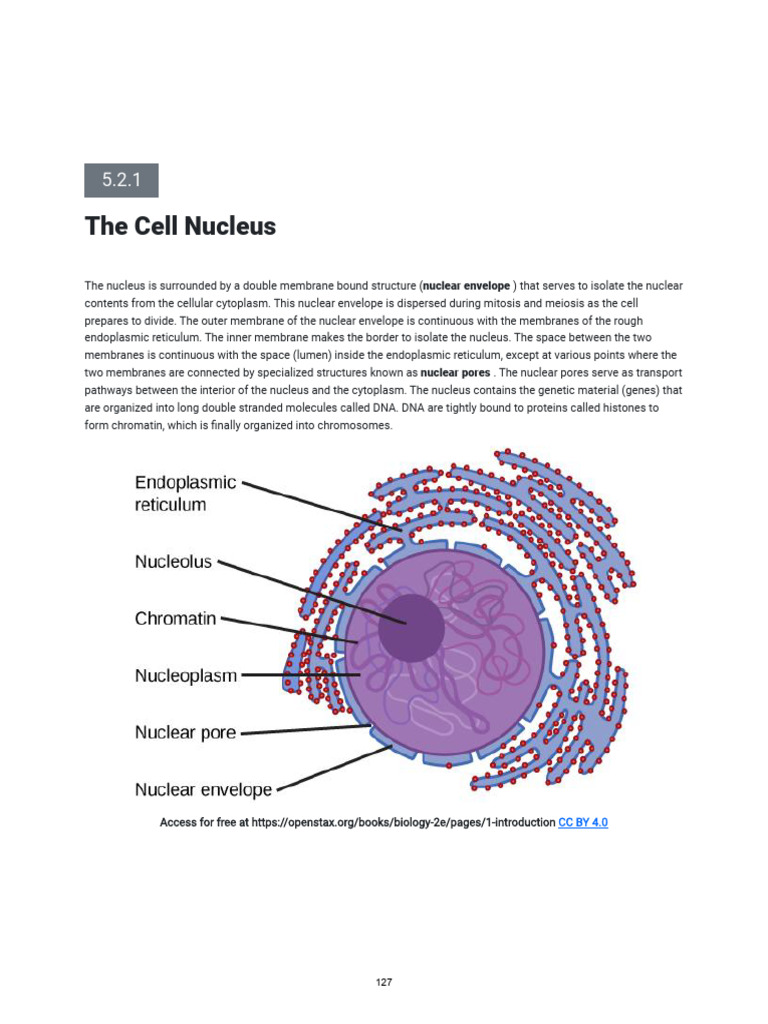 The Cell Nucleus: Nuclear Envelope | PDF