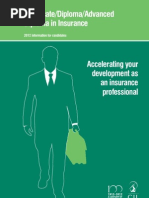 Download Dip Insurancev2 by Letsogile Baloi SN101247307 doc pdf