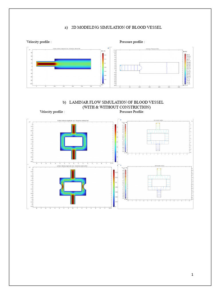 2d Modeling Simulation of Blood Vessel1 | PDF