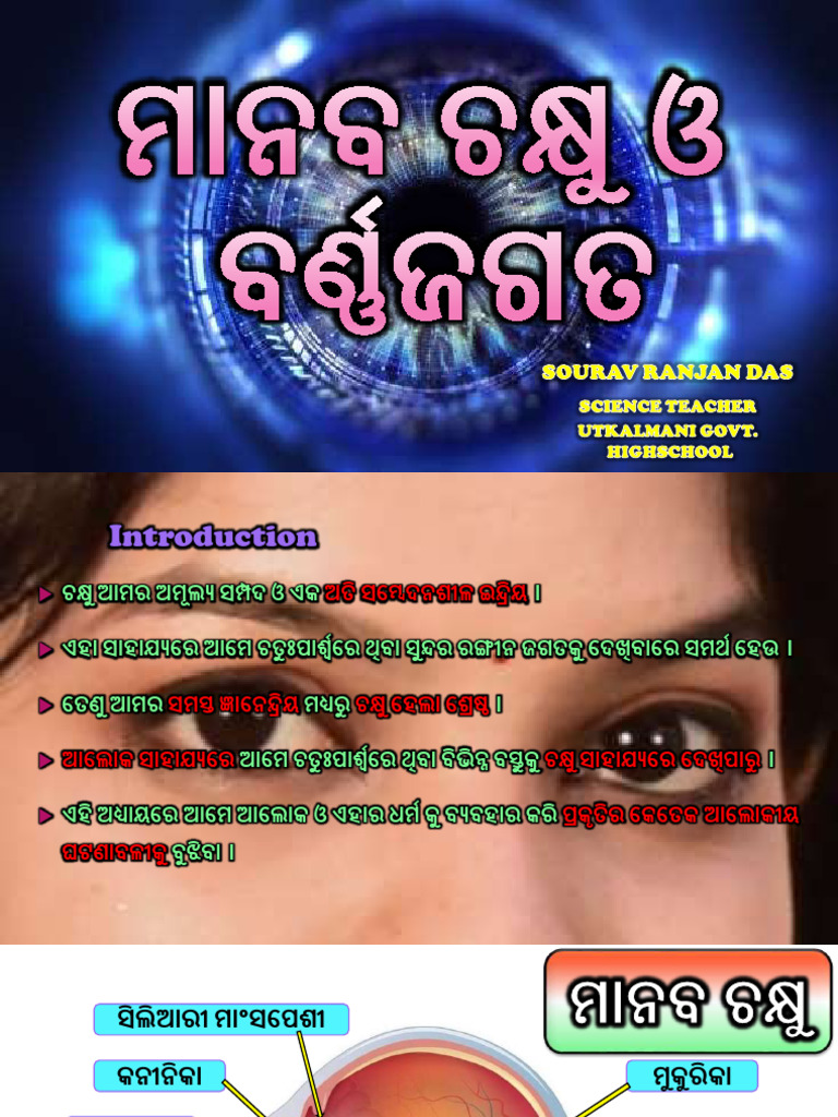 Human Eye | PDF