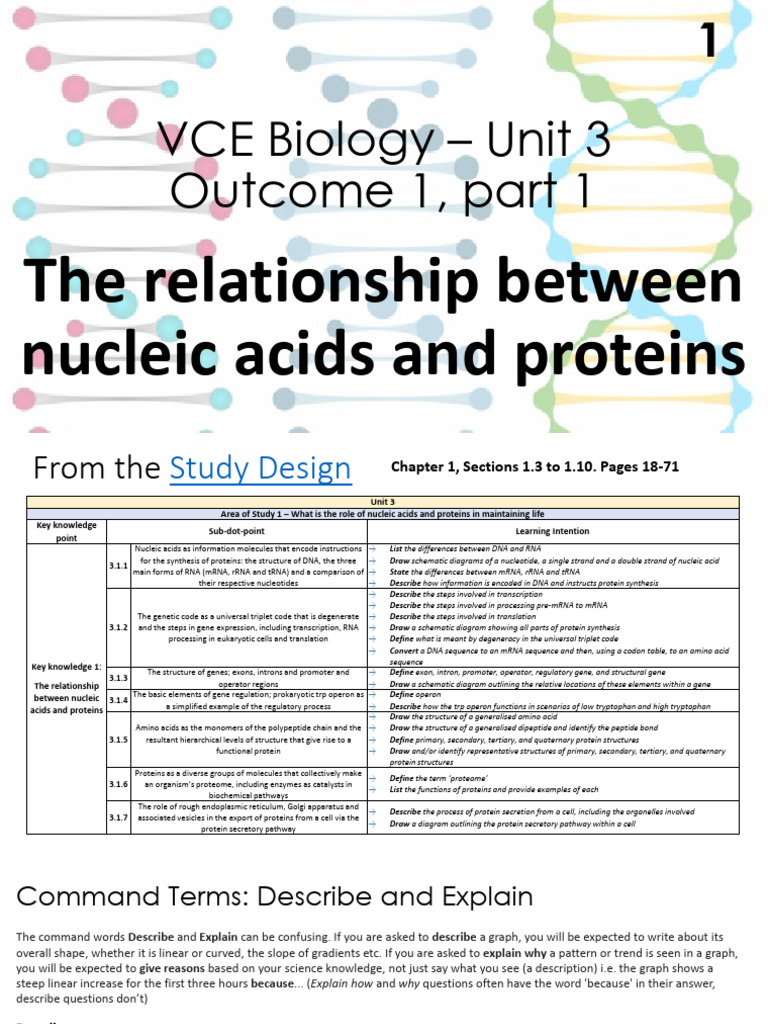 U3 3.1.1 The Relationship Between Nucleic Acids and Proteins 2026 ...