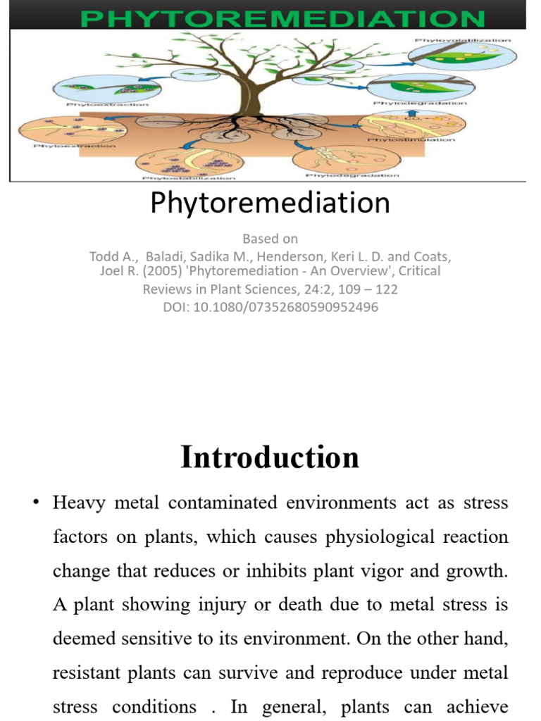 Remediation Technique | PDF | Soil | Biology