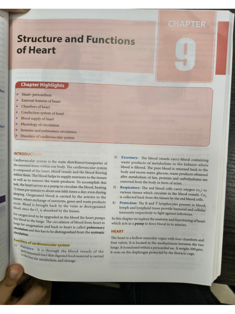 Heart ? | PDF