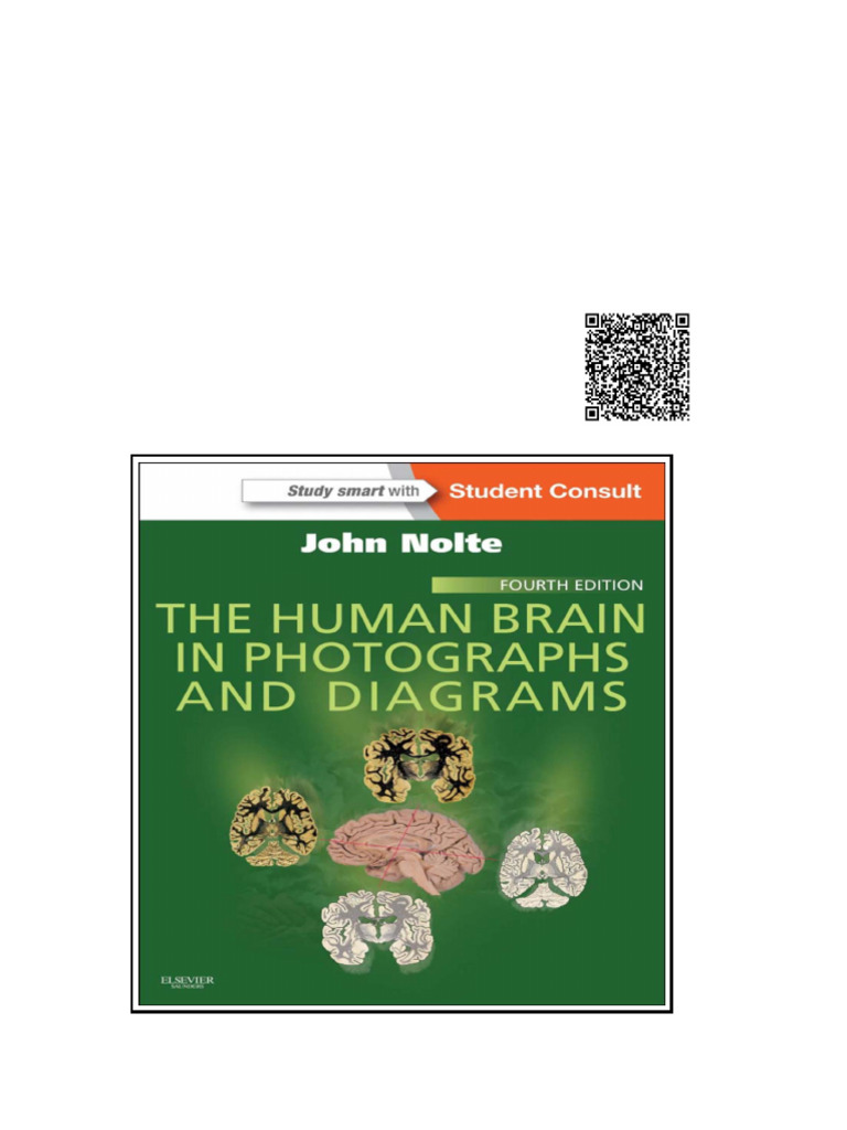 Human Brain in Photographs and Diagrams 4th Edition The Wei Zhi | PDF ...