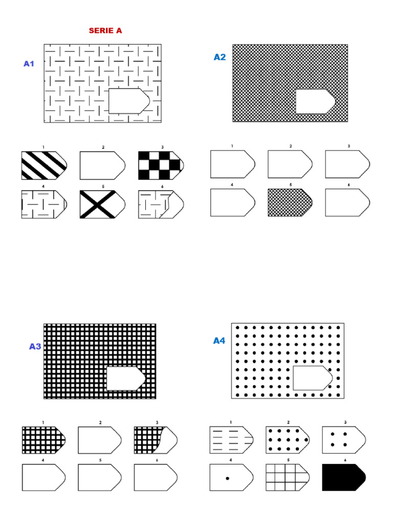 Raven. Matrices | PDF
